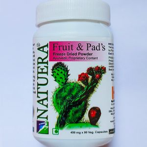 Fruits and Pads