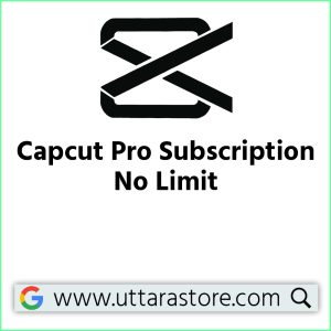 Capcut Pro Subscription